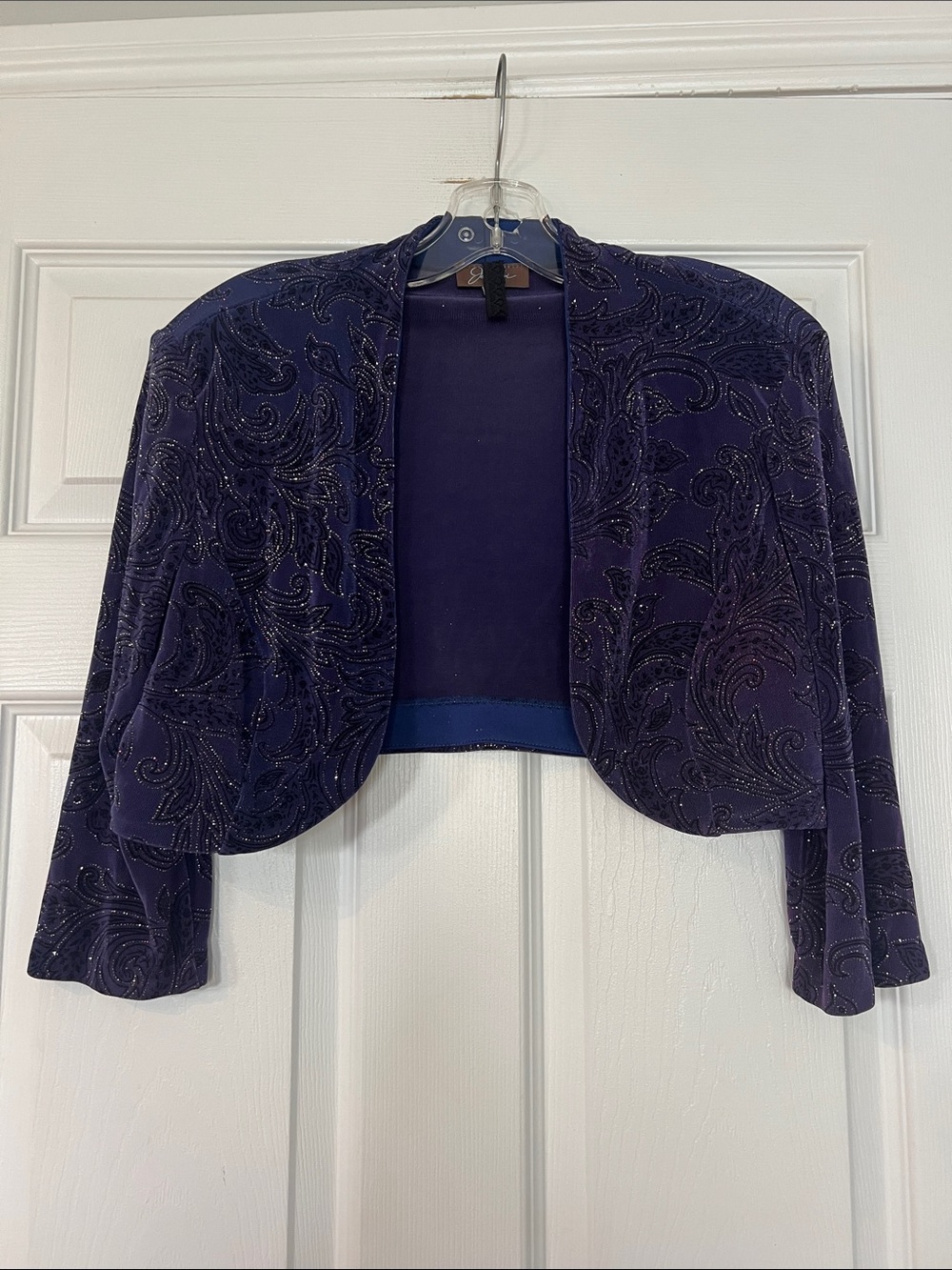 Jessica Cropped Velvet Bolero Jacket in Deep Purple with Glitter Paisley